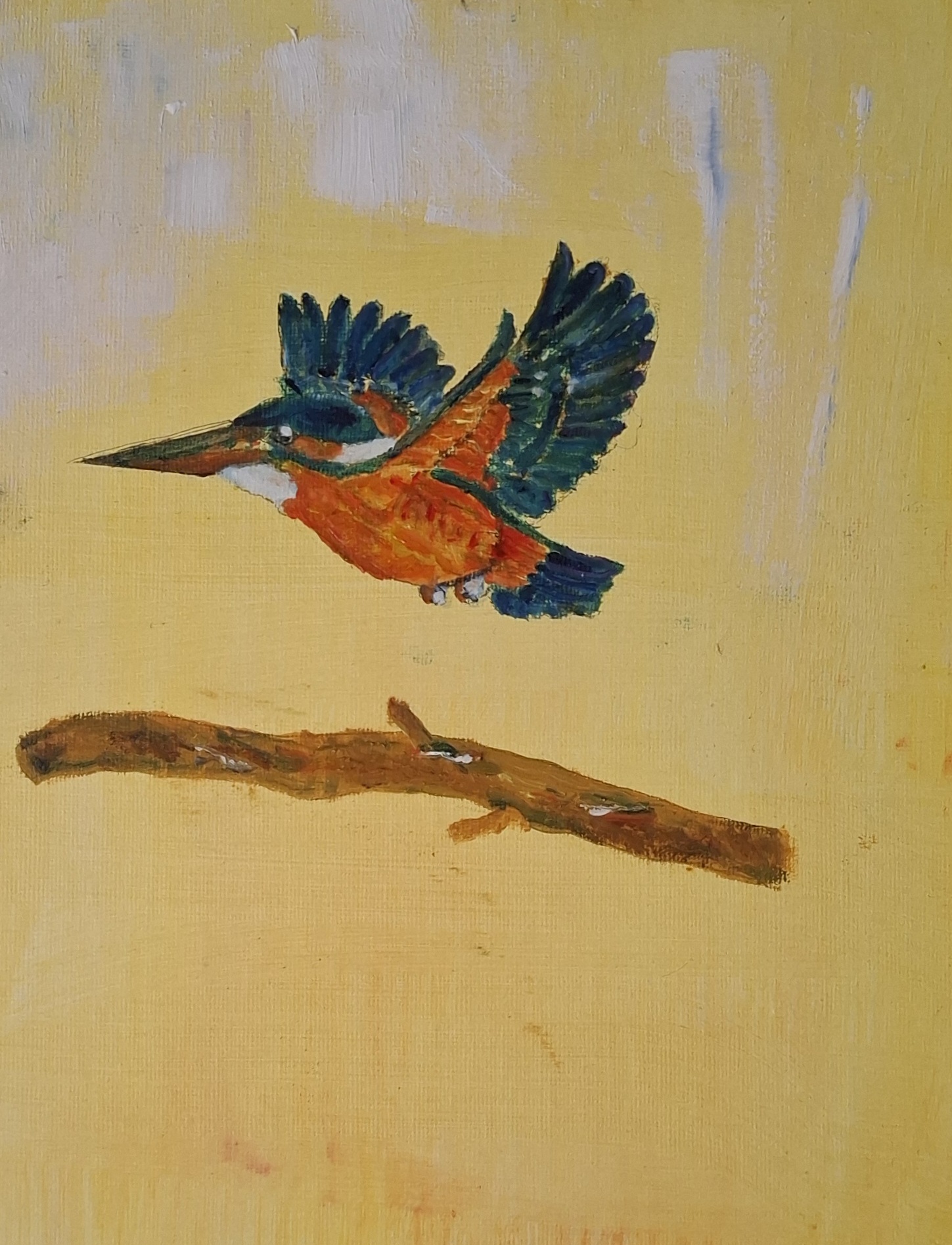 Ijsvogel in vlucht Ijsvogel in vlucht