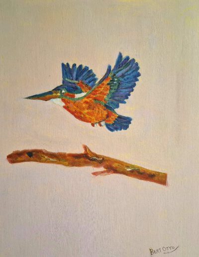 Ijsvogel