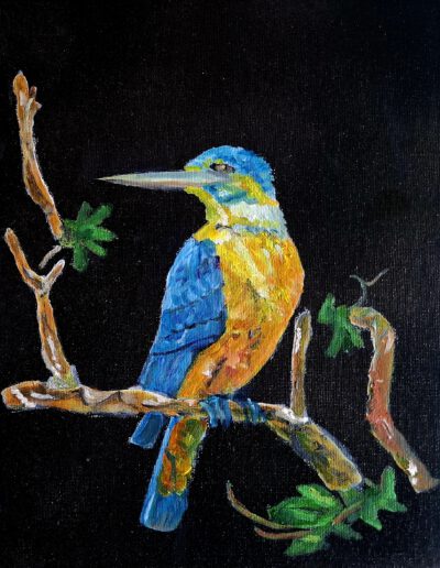 Ijsvogel