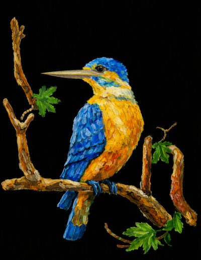 Ijsvogel