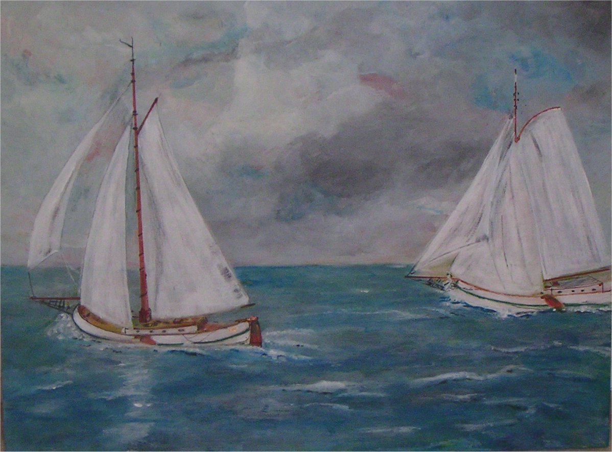 Voor Enkhuizen, zeilschepen voor de kust van Bert Otto